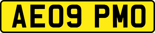 AE09PMO