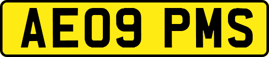 AE09PMS