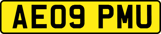 AE09PMU