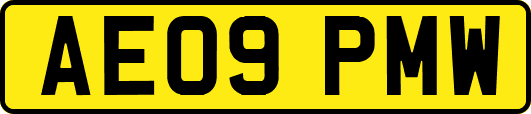 AE09PMW