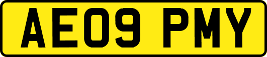 AE09PMY