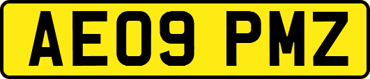 AE09PMZ