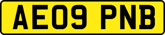 AE09PNB