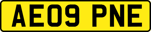 AE09PNE