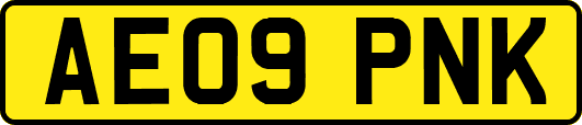 AE09PNK
