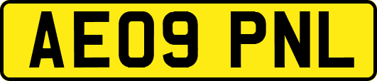 AE09PNL