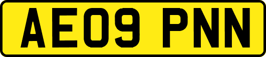 AE09PNN