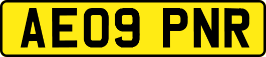 AE09PNR