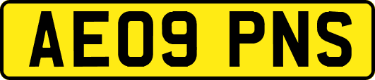 AE09PNS