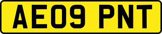 AE09PNT