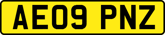 AE09PNZ