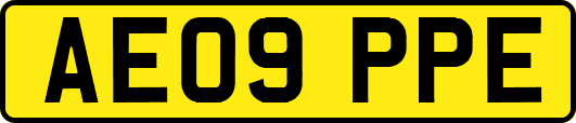 AE09PPE