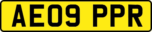 AE09PPR