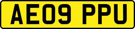 AE09PPU