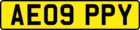 AE09PPY