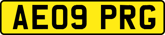 AE09PRG