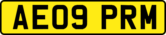 AE09PRM