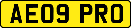 AE09PRO