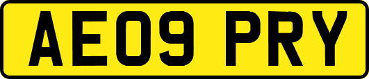 AE09PRY