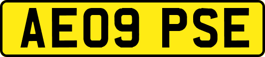 AE09PSE