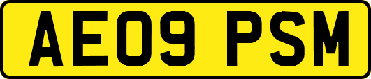 AE09PSM