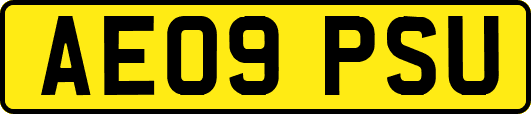 AE09PSU