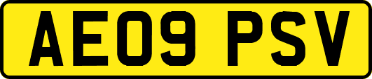 AE09PSV