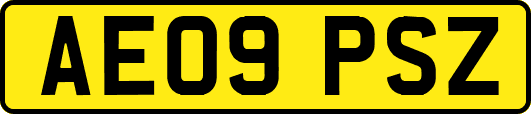 AE09PSZ
