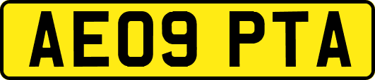 AE09PTA