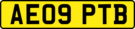 AE09PTB