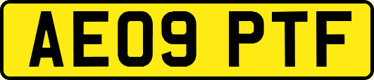 AE09PTF