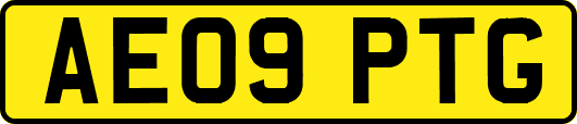 AE09PTG