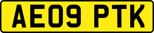 AE09PTK