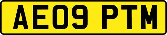 AE09PTM