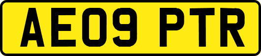 AE09PTR