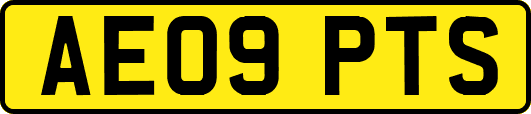 AE09PTS