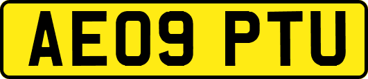 AE09PTU