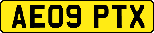 AE09PTX