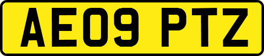 AE09PTZ