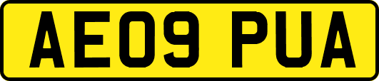 AE09PUA