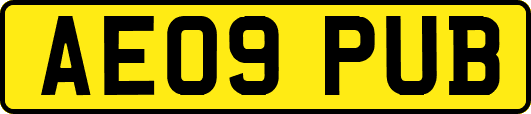 AE09PUB
