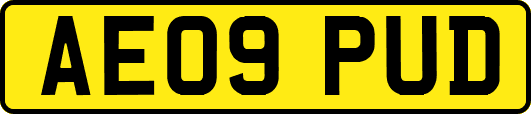 AE09PUD