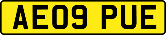 AE09PUE