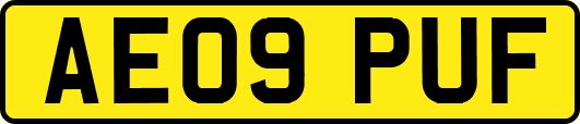 AE09PUF