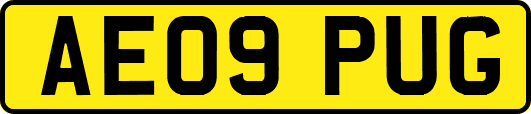 AE09PUG