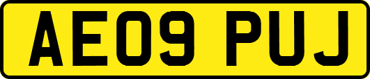 AE09PUJ