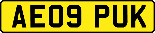 AE09PUK