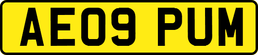 AE09PUM