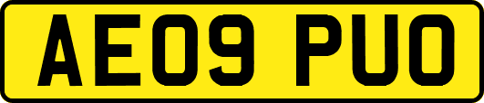 AE09PUO