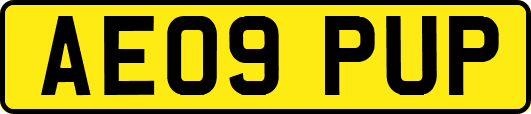 AE09PUP